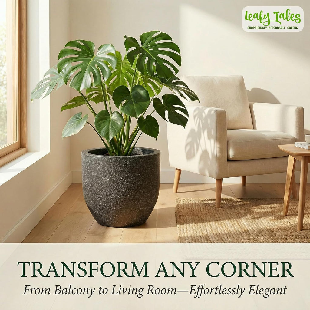 Leafy Tales Modern Round Planter for Home Décor 14 INCH, Highly Durable,Lightweight Indoor Outdoor Planter, Flower Pot Gamla,Tree Planter, Pot for Balcony Garden, Vegetables, Flowers & Greenery