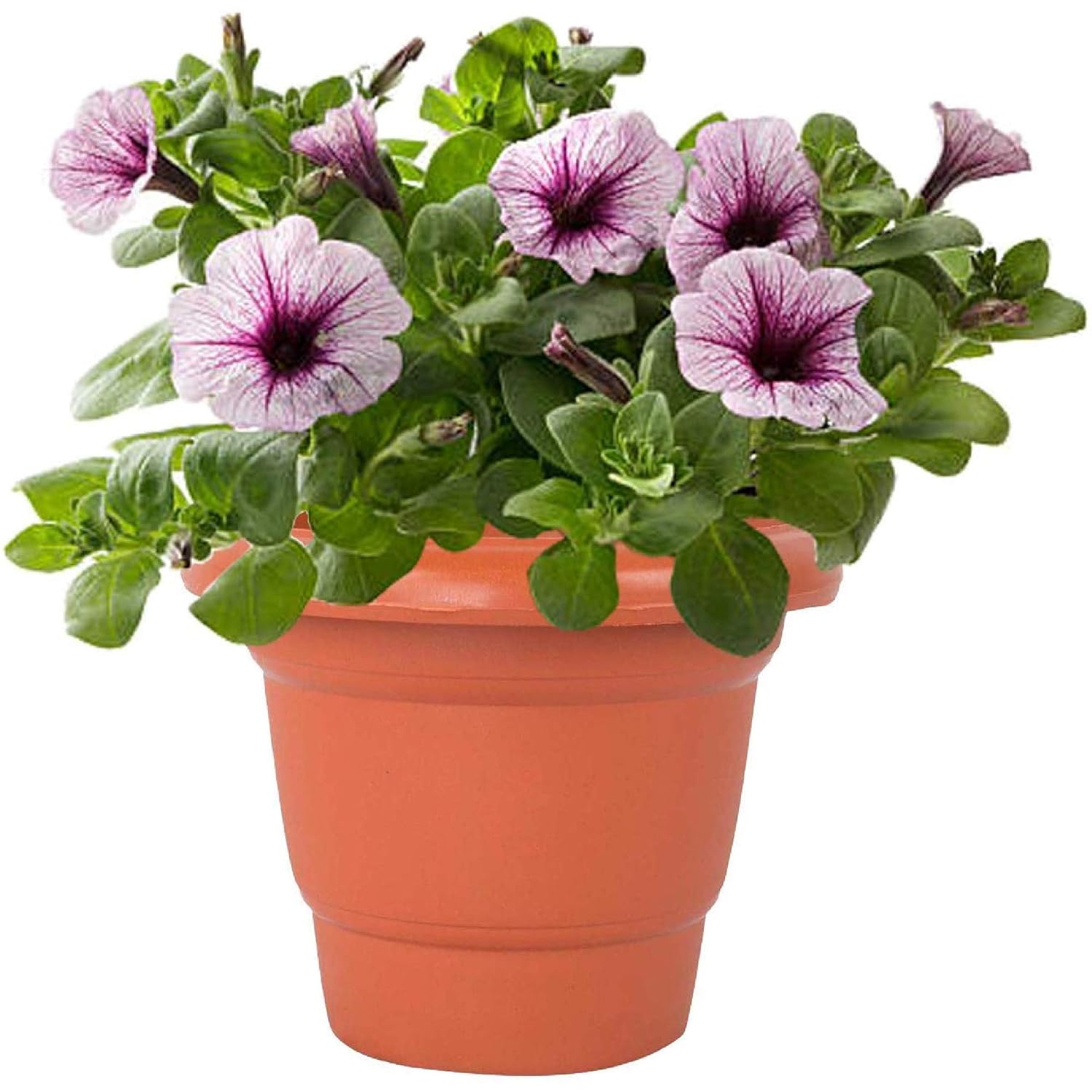 Leafy Tales 6-inch Plastic Flower Pots (Pack of 6) - Terracotta Colour Garden Gamla for Home & Outdoor Balcony - Durable Indoor/Outdoor Planters with Drainage Saucers