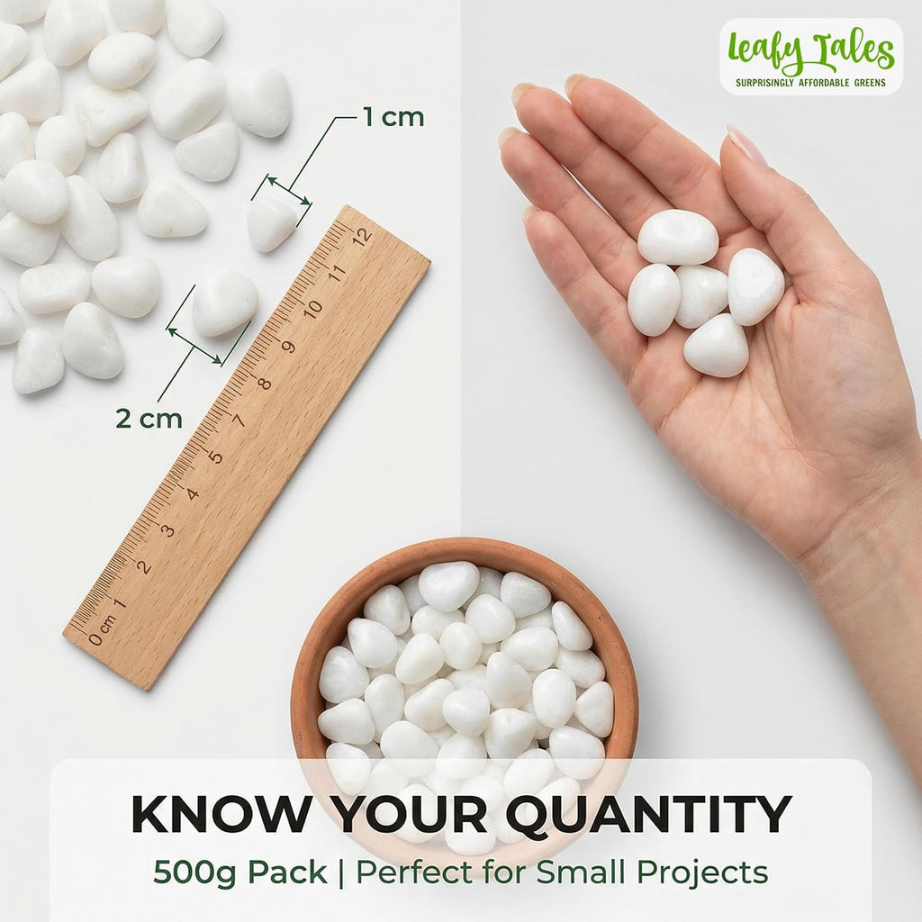 Leafy Tales White Polished Marble Stone Pebbles for Home & Garden Decoration|Plants & Pots|Art & Craft|Aquarium Vase Filler | White Polish 500 GMS