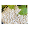 Leafy Tales White Polished Marble Stone Pebbles for Home & Garden Decoration| White Polish 5 Kg