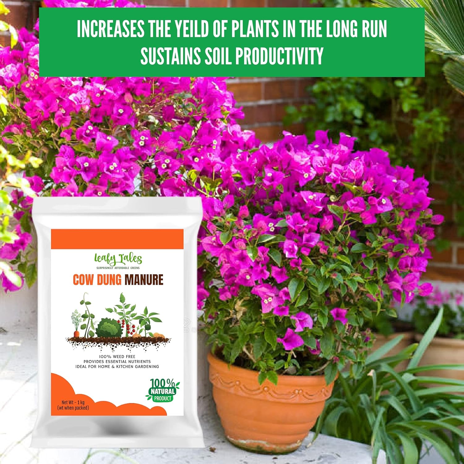 Leafy Tales Organic Cow Dung Manure for Plants 1kg - Fully Decomposed & Odorless Gobar ki Khad for Home Garden | Nutrient-Rich Organic Fertilizer & Soil Enricher for Flowers & Vegetables