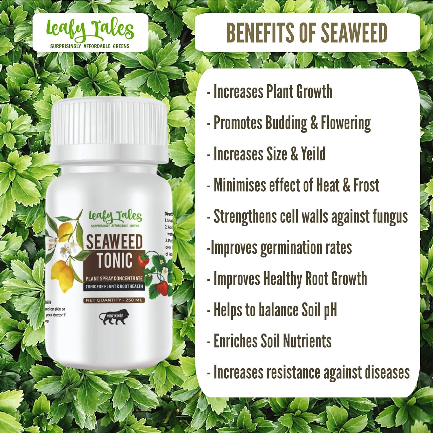 Leafy Tales - 250 ML - Sea Secret - Seaweed Extract Liquid Concentrate - Organic Fertilizer & Growth Promoter for Plants, 100% Water Soluble