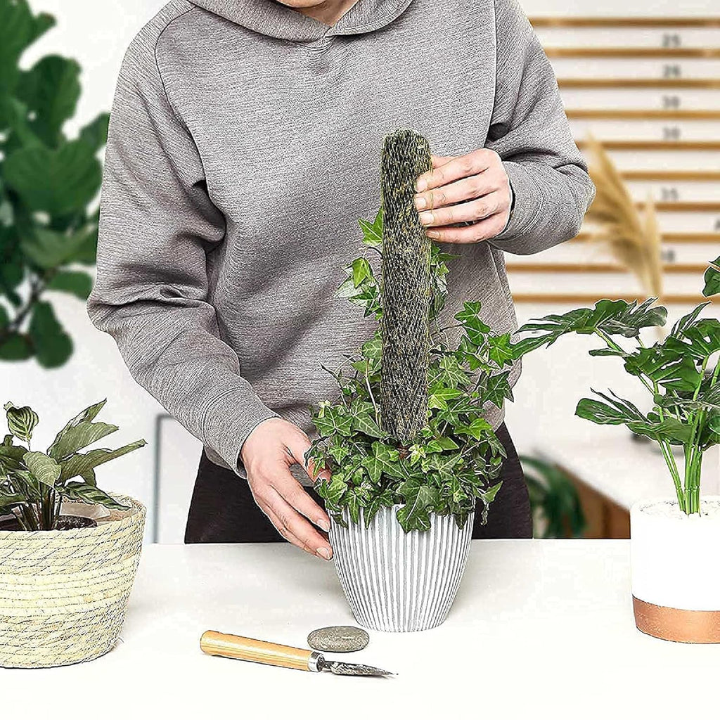 Leafy Tales Plant Support Moss Stick- Green Grass Pole for Plants Support, Support Stick for Money Plant, Climbing Indoor Plants(3 ft, Set of 6)