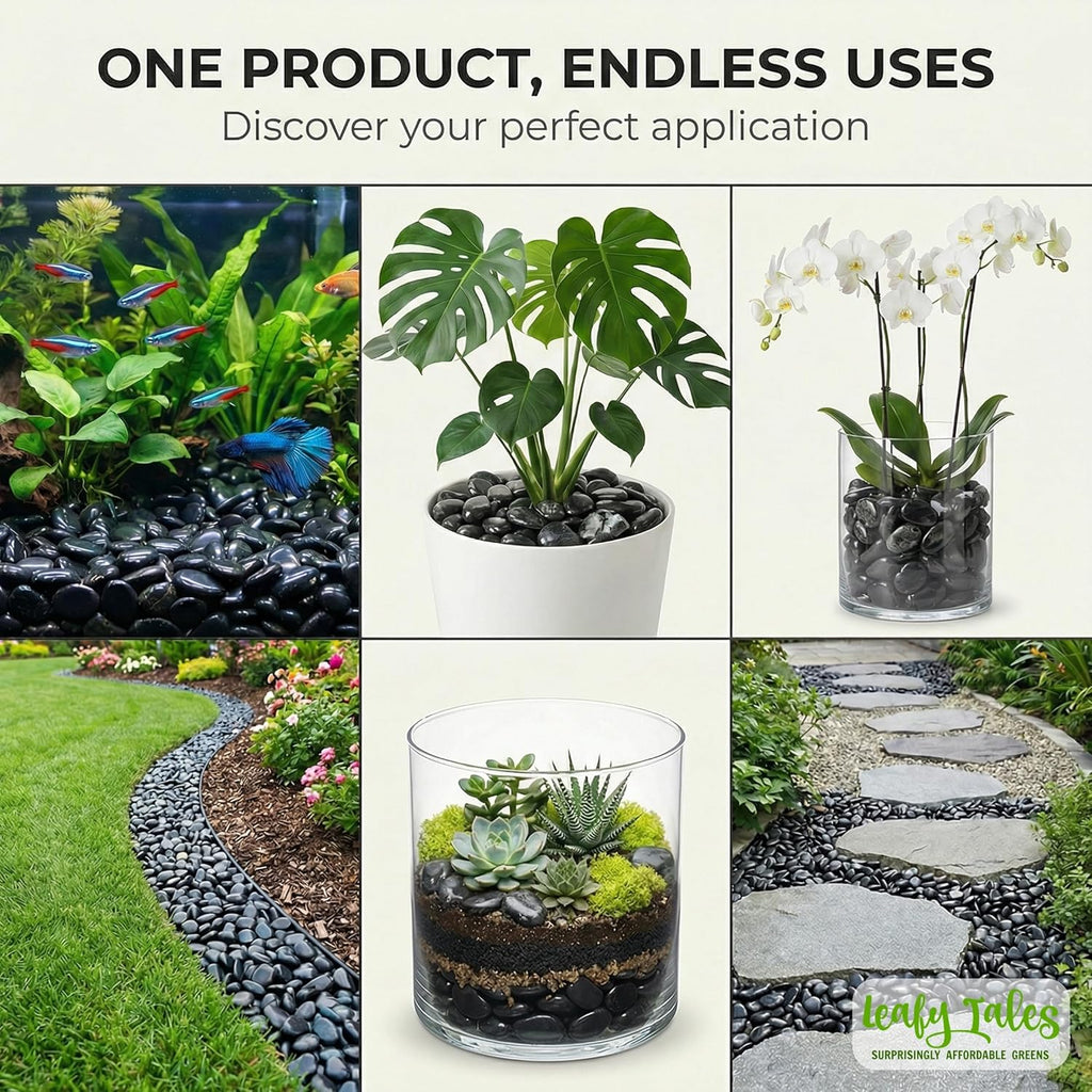 Leafy Tales Black Polish Marble Stone Pebbles for Home & Garden Decoration| Black Polish 2 Kg